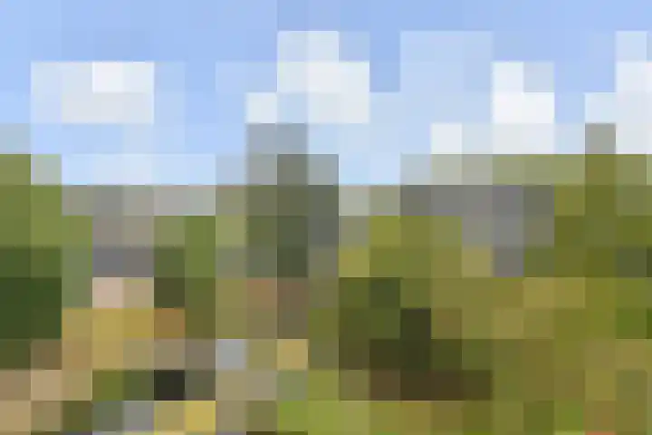 Schaepmanlaan 31 Pijnacker thumbnail 8