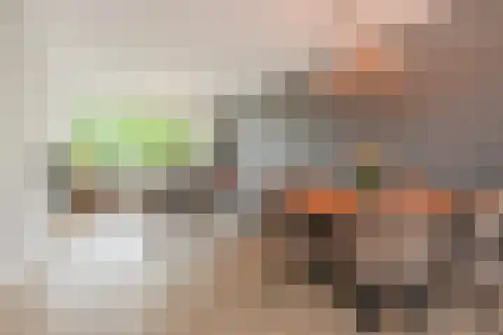 Schaepmanlaan 31 Pijnacker thumbnail 9