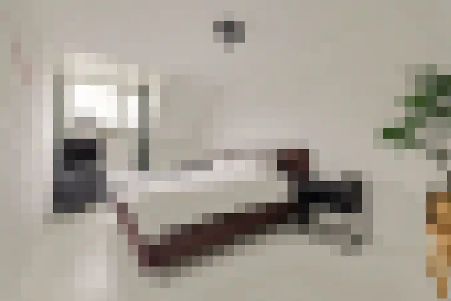 Schaepmanlaan 31 Vlijmen thumbnail 18