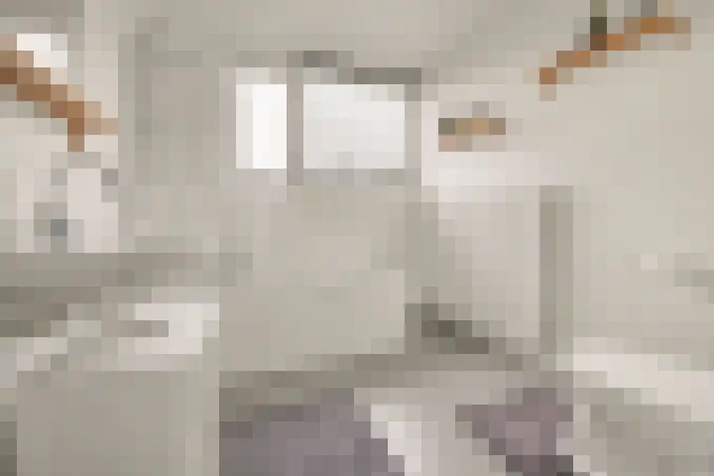 Schaepmanlaan 31 Vlijmen thumbnail 20