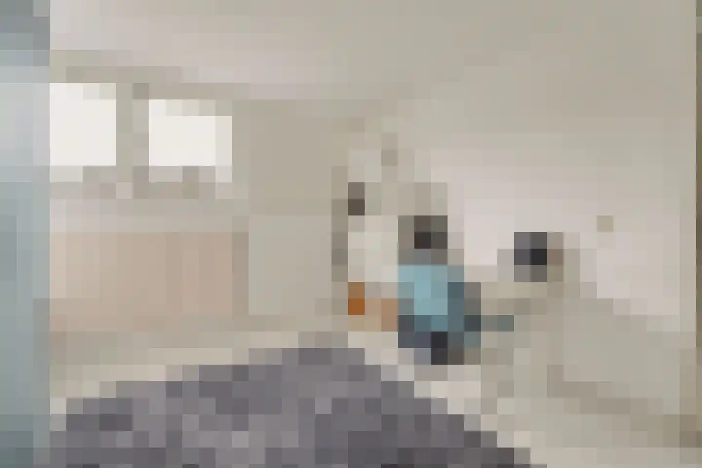 Schaepmanlaan 31 Vlijmen thumbnail 24