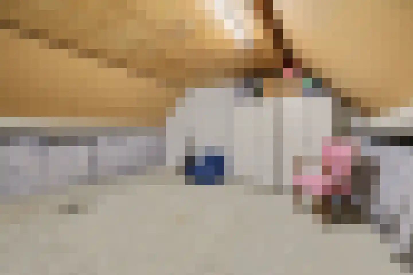 Schaepmanlaan 31 Vlijmen thumbnail 27