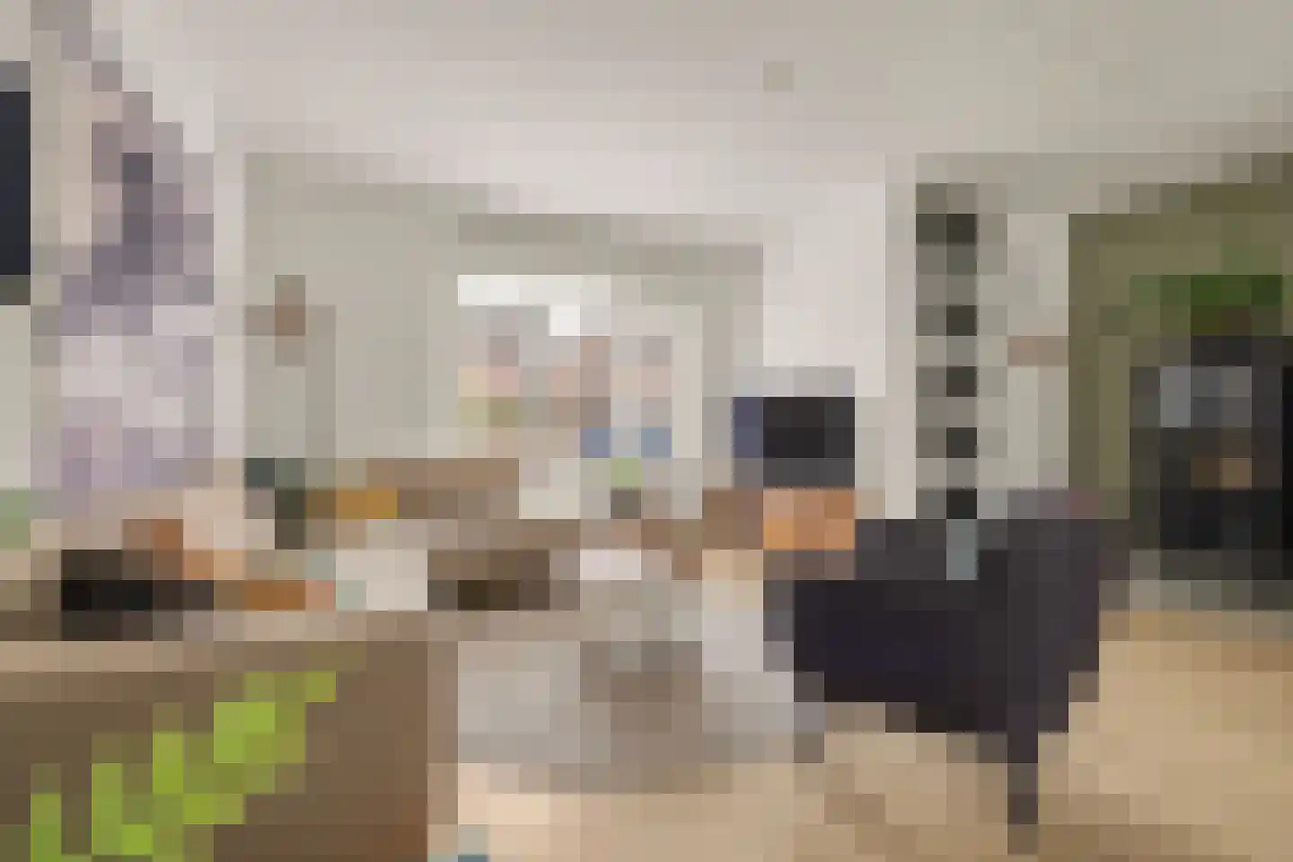 Schaepmanlaan 31 Vlijmen foto 3