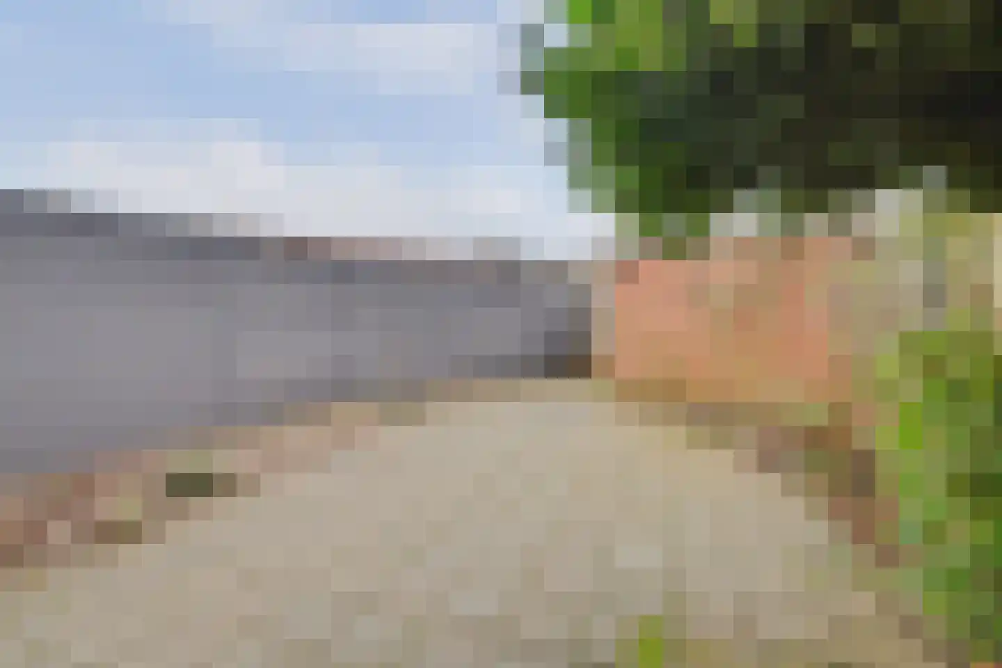 Schaepmanlaan 31 Vlijmen thumbnail 32