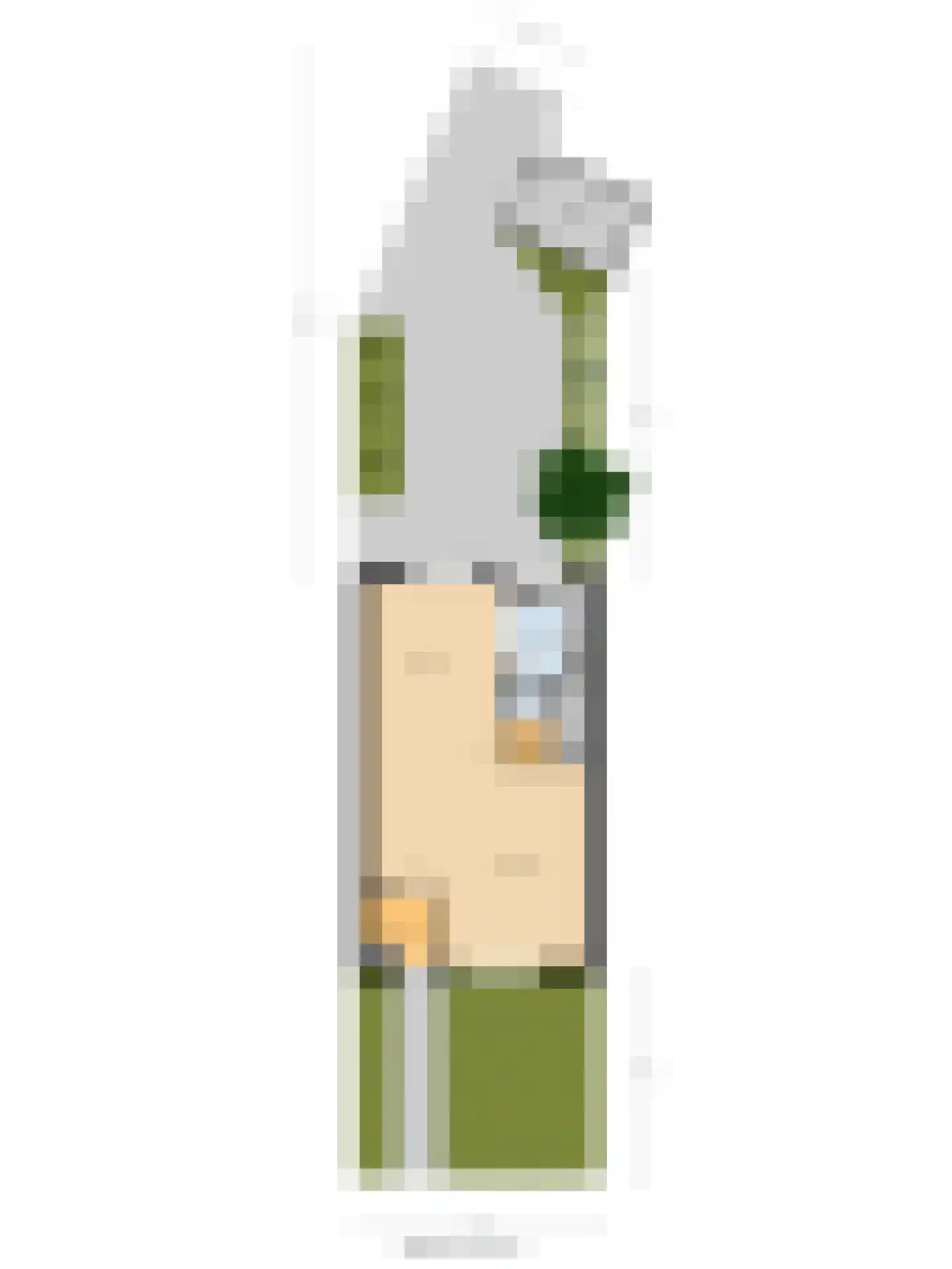 Schaepmanlaan 31 Vlijmen thumbnail 34