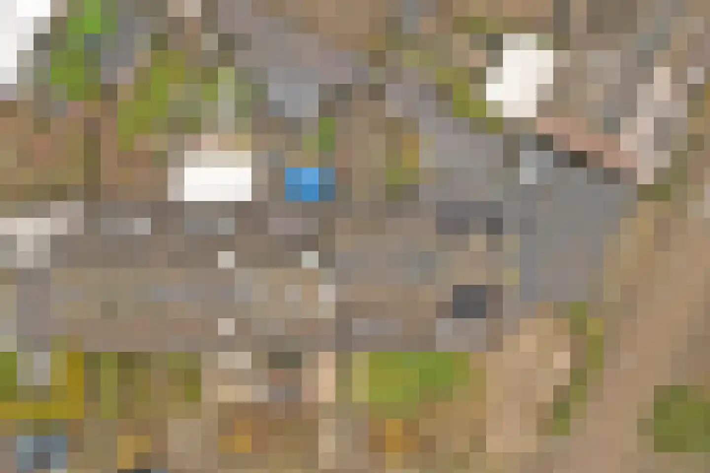 Schaepmanlaan 31 Vlijmen thumbnail 43