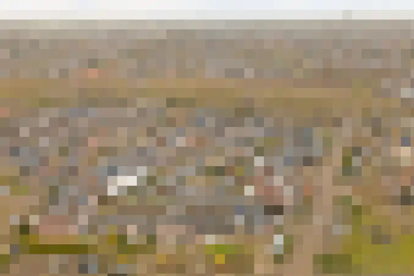 Schaepmanlaan 31 Vlijmen thumbnail 45
