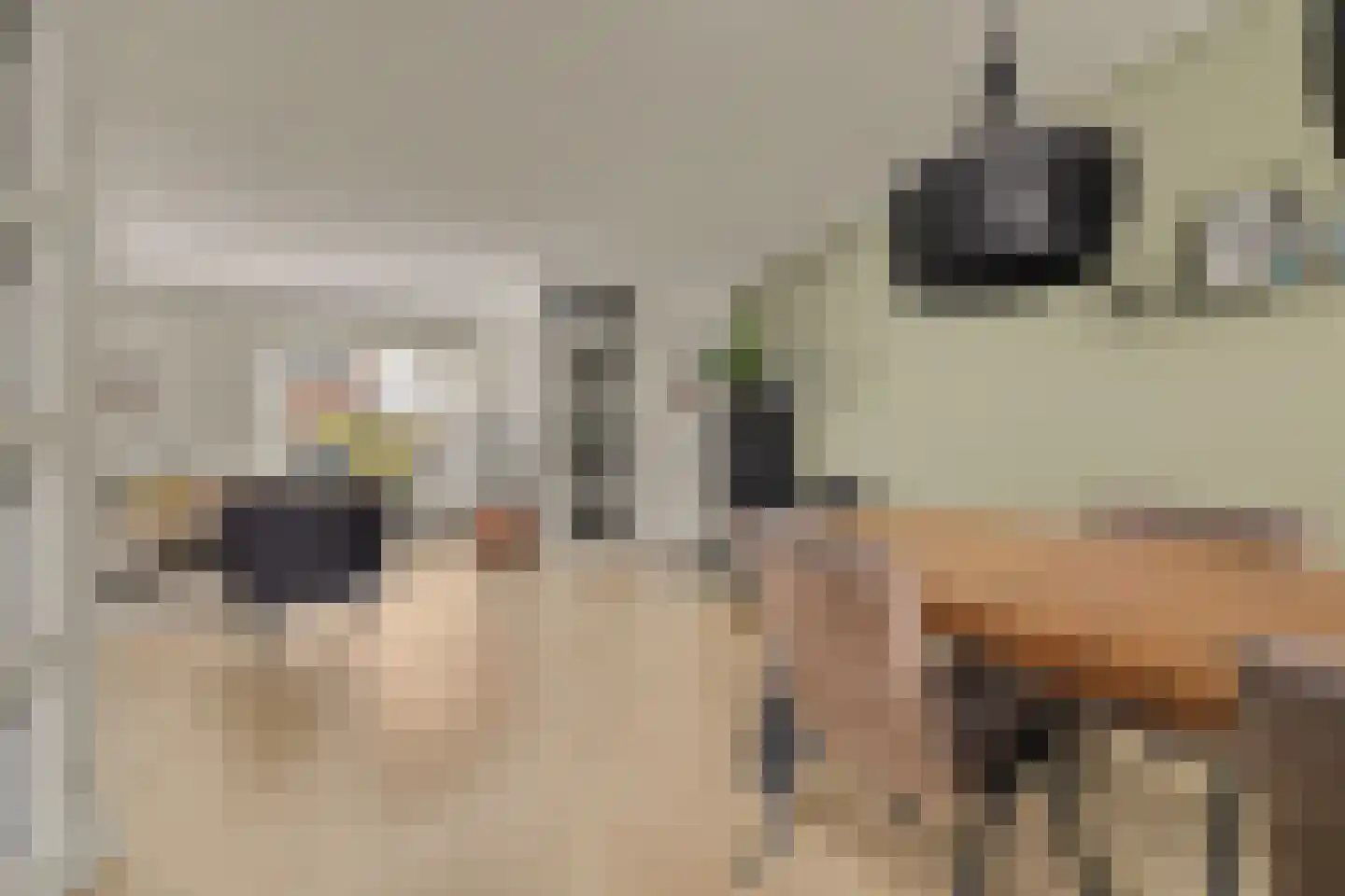 Schaepmanlaan 31 Vlijmen thumbnail 5