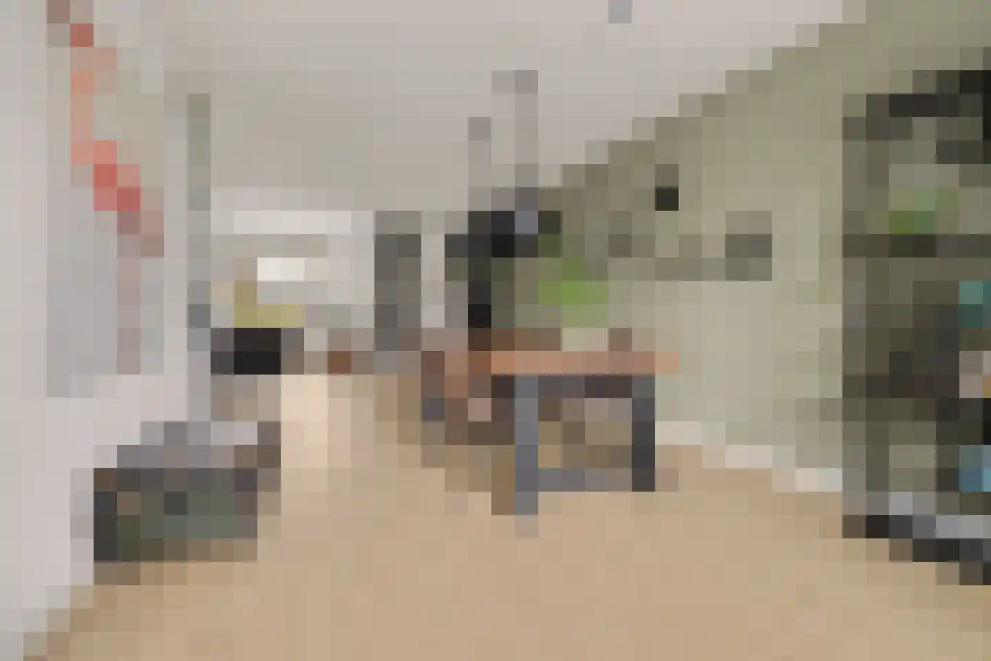 Schaepmanlaan 31 Vlijmen thumbnail 6