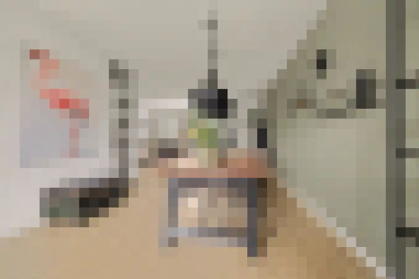Schaepmanlaan 31 Vlijmen thumbnail 7