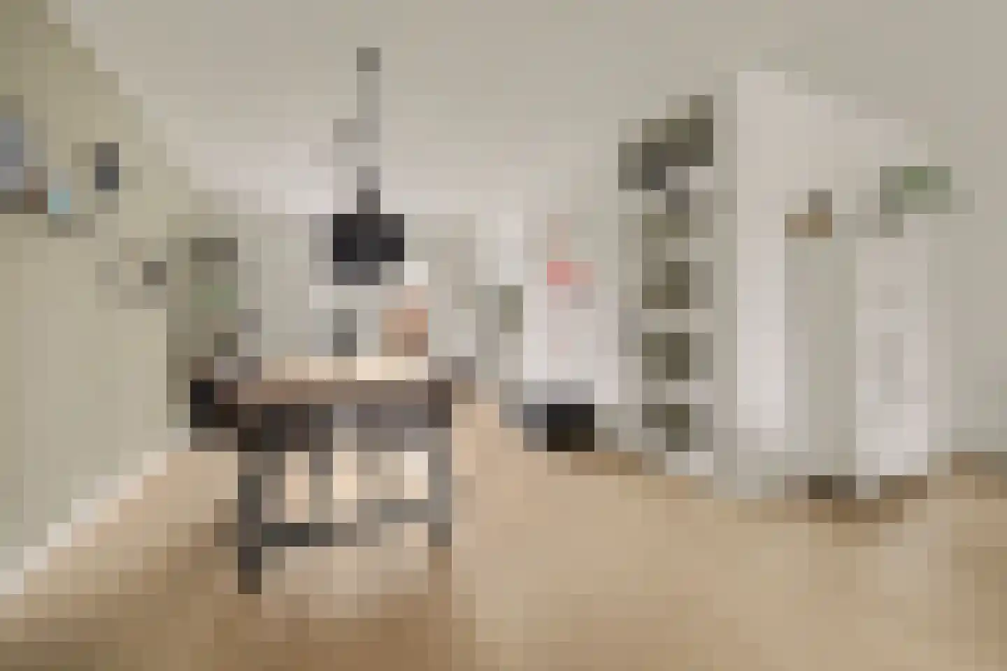 Schaepmanlaan 31 Vlijmen thumbnail 8