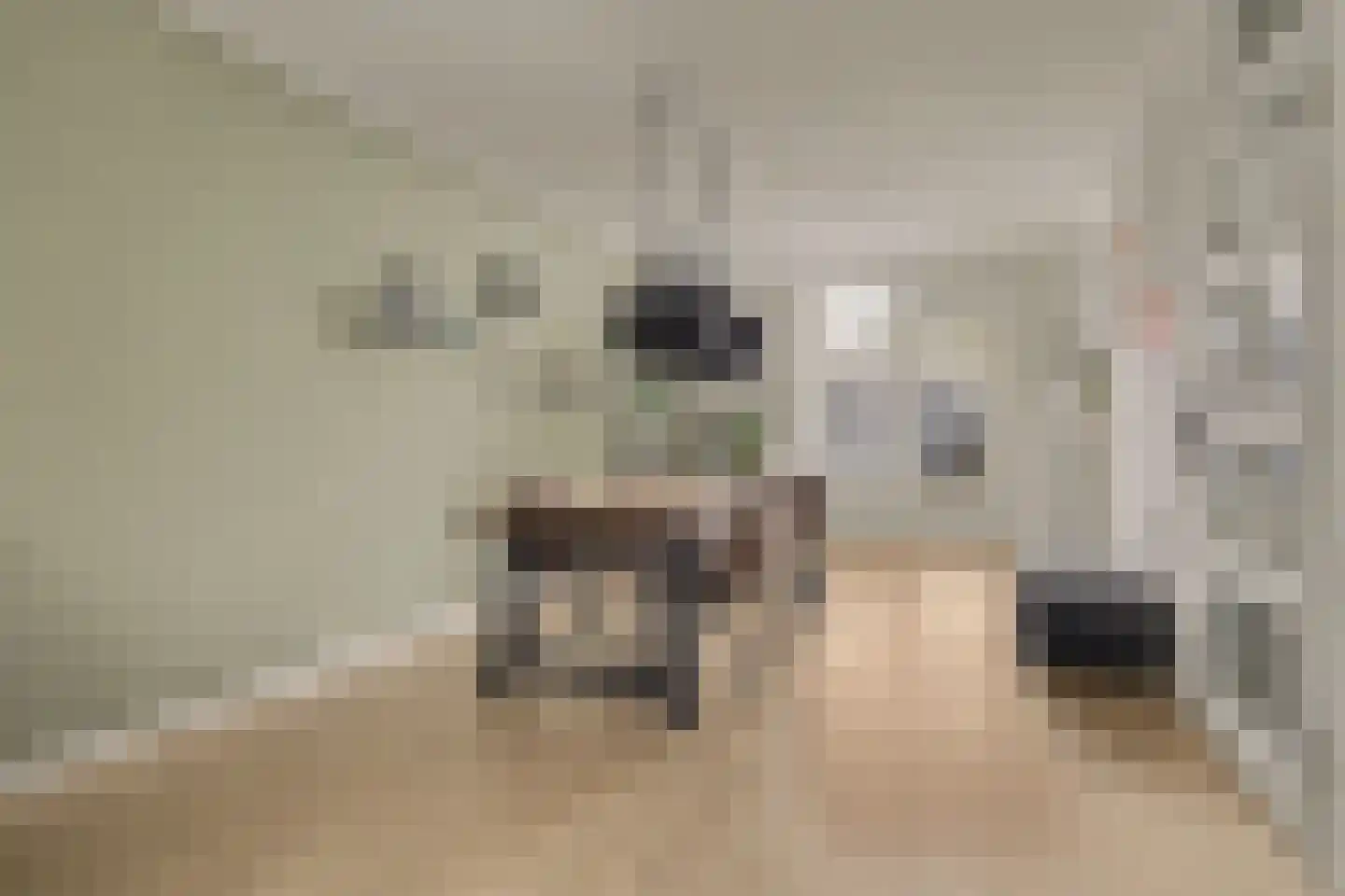 Schaepmanlaan 31 Vlijmen thumbnail 9