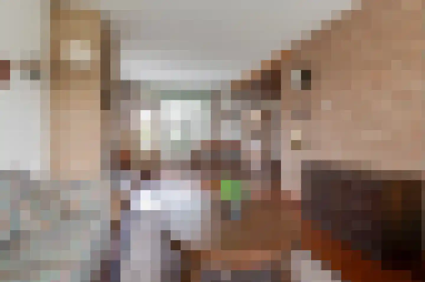Schaepmanlaan 32 Culemborg thumbnail 13
