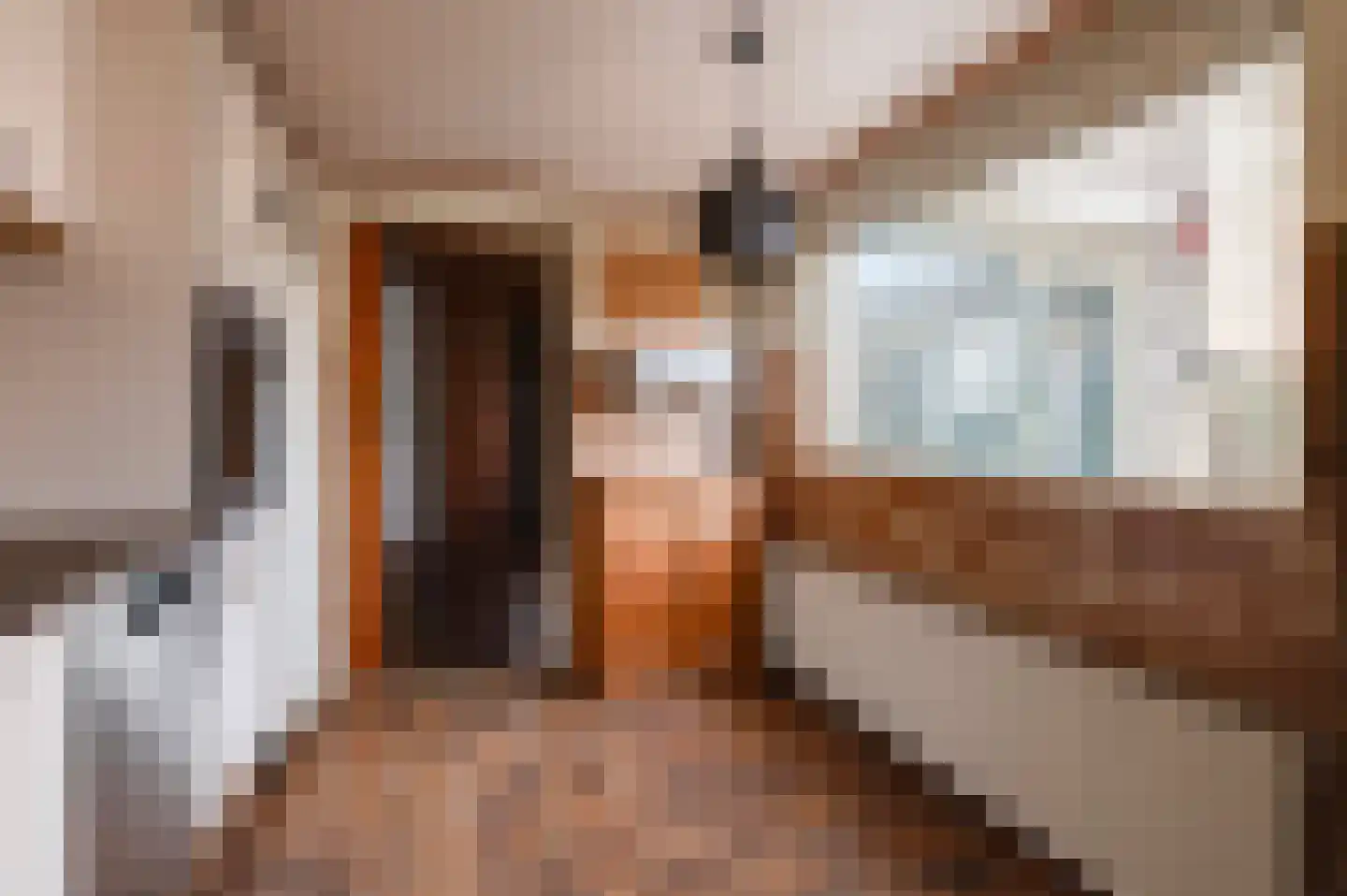 Schaepmanlaan 32 Culemborg thumbnail 18