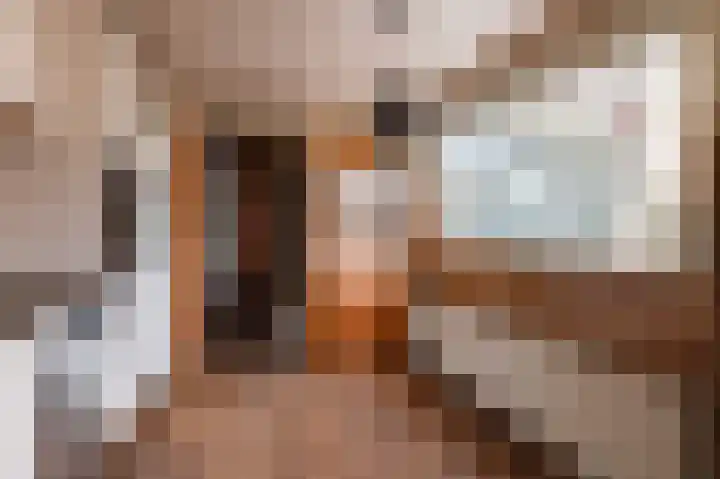 Schaepmanlaan 32 Culemborg thumbnail 18