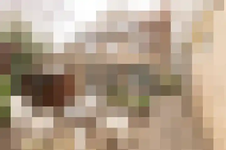 Schaepmanlaan 32 Culemborg thumbnail 21