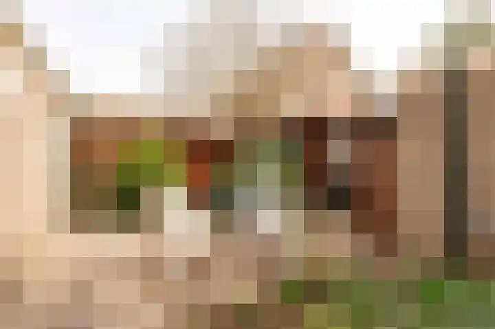Schaepmanlaan 32 Culemborg thumbnail 23