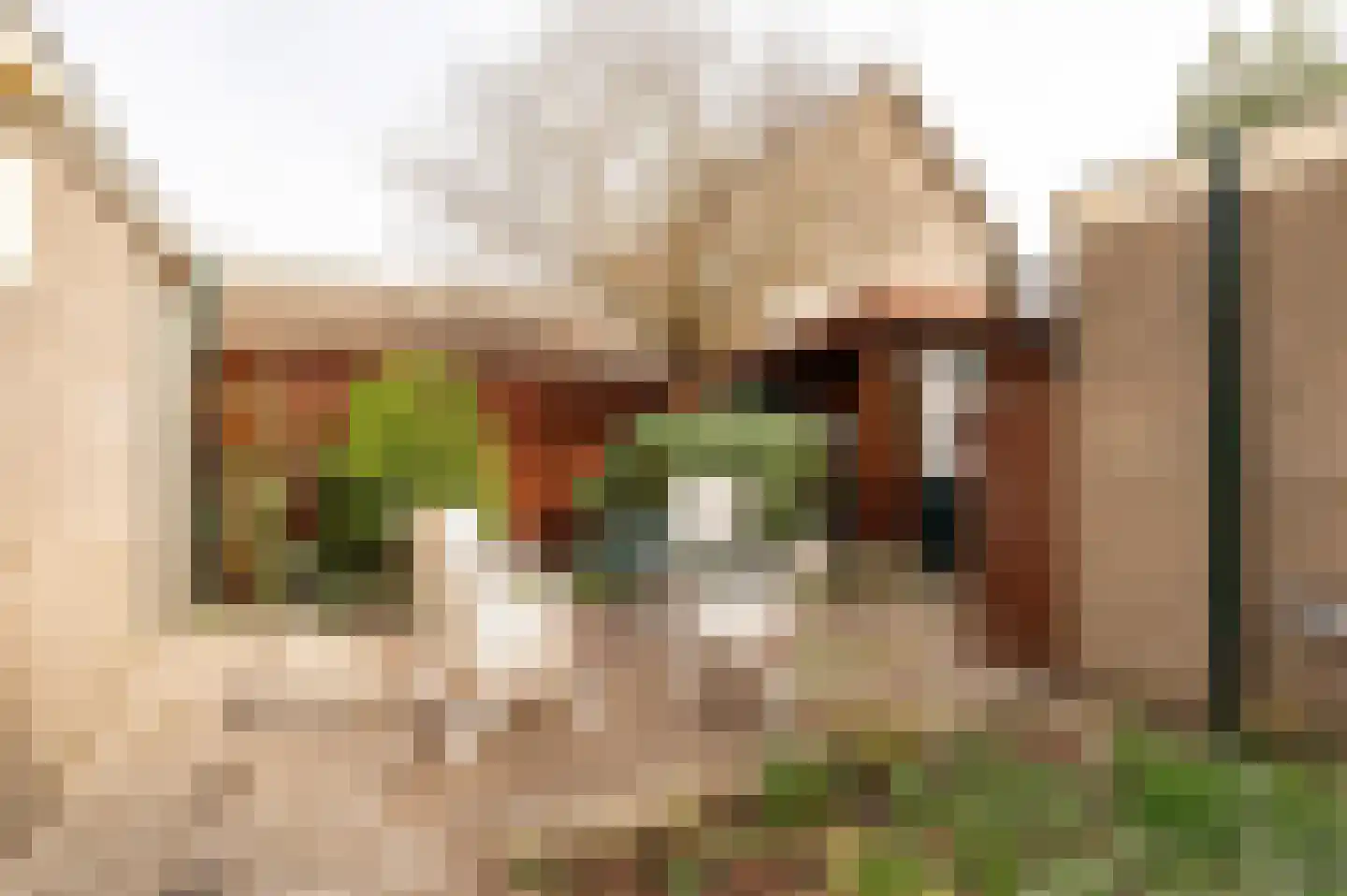 Schaepmanlaan 32 Culemborg thumbnail 23