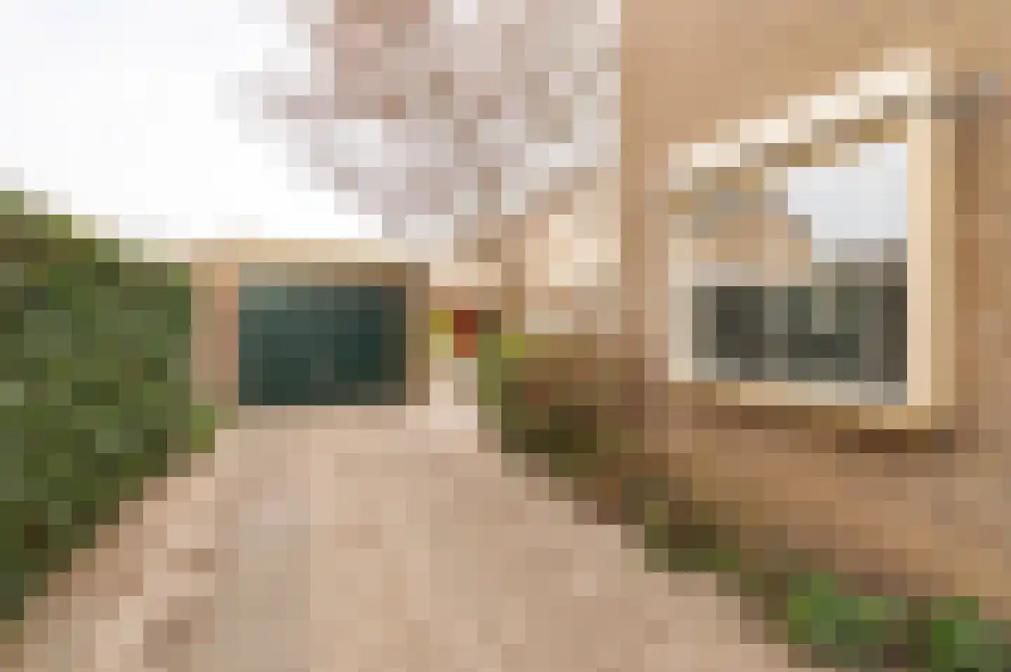 Schaepmanlaan 32 Culemborg thumbnail 25