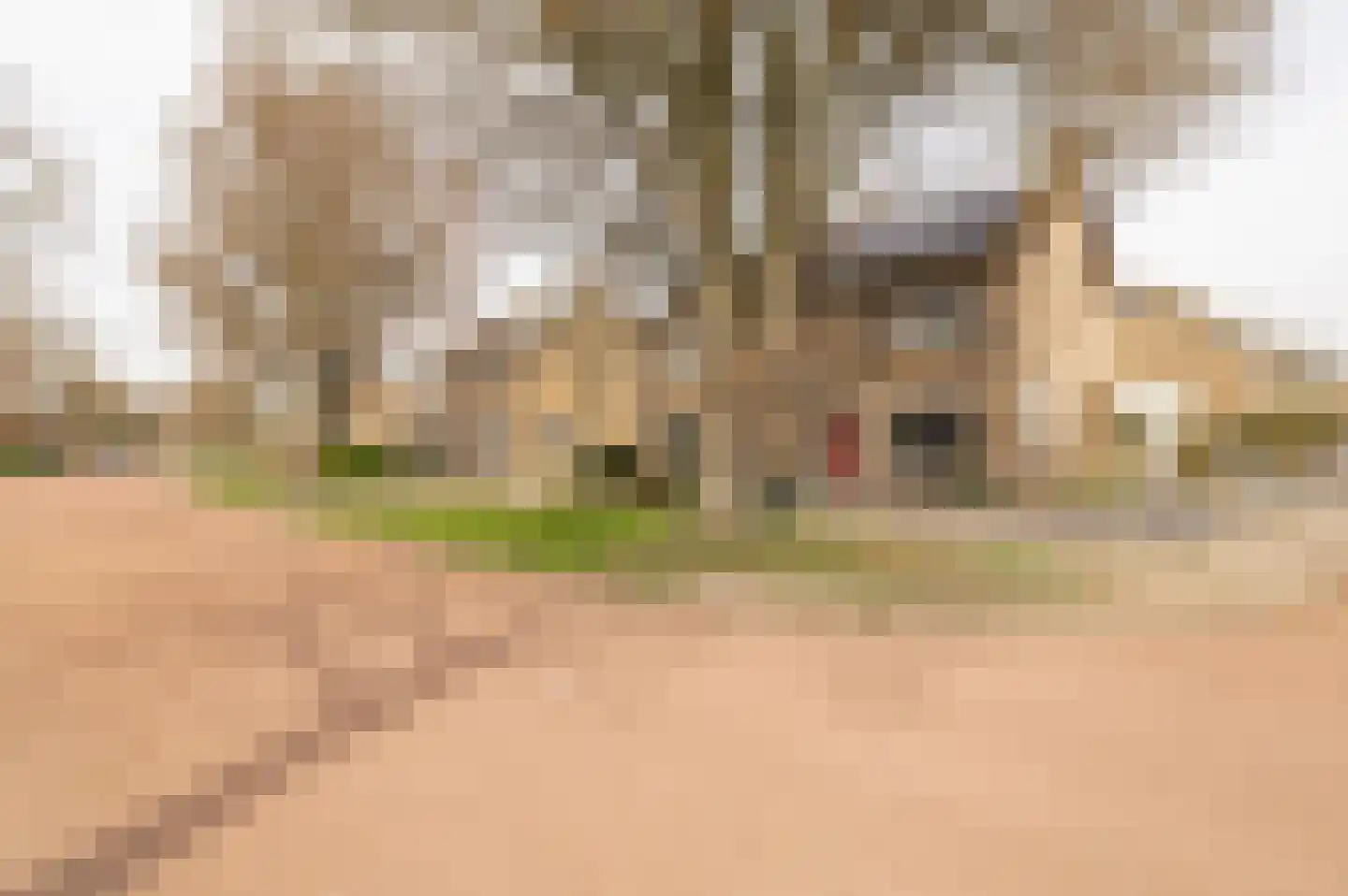 Schaepmanlaan 32 Culemborg thumbnail 43
