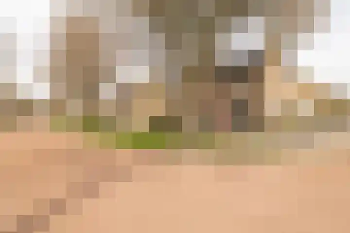 Schaepmanlaan 32 Culemborg thumbnail 43
