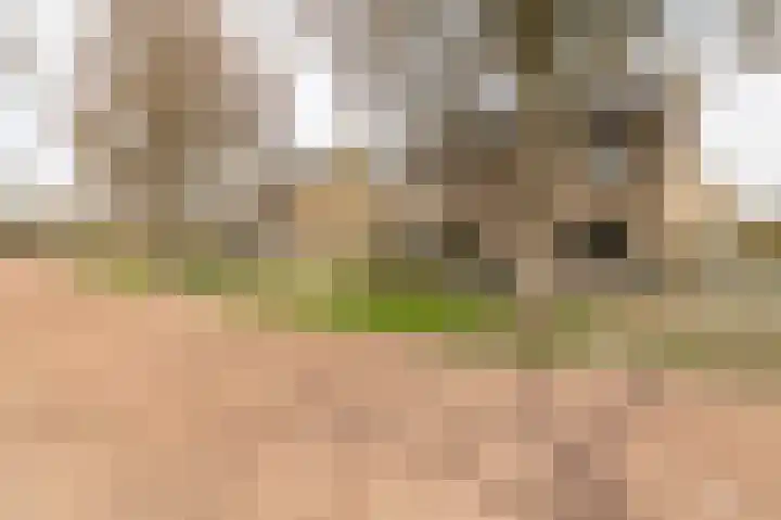 Schaepmanlaan 32 Culemborg thumbnail 45