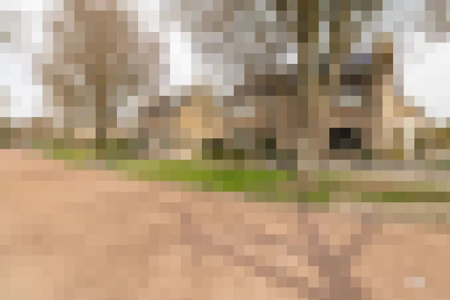 Schaepmanlaan 32 Culemborg thumbnail 45