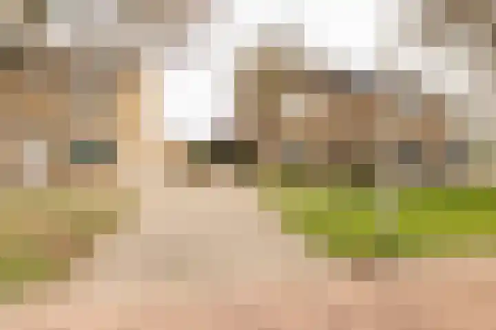 Schaepmanlaan 32 Culemborg thumbnail 47