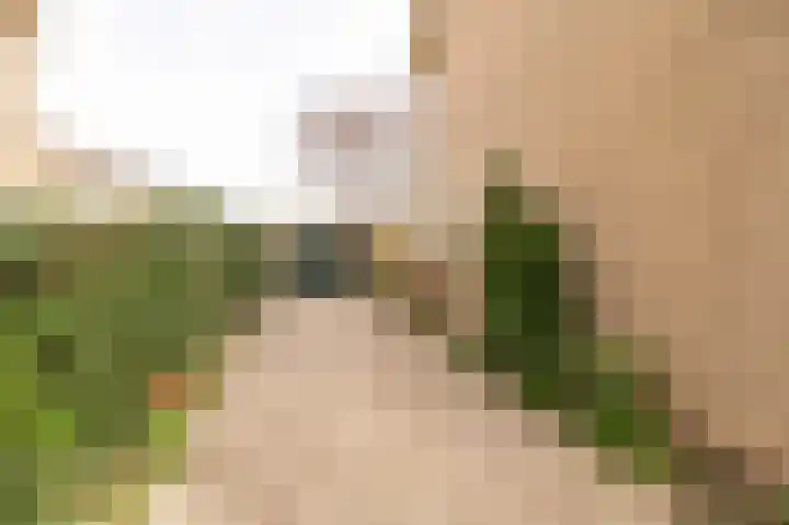 Schaepmanlaan 32 Culemborg thumbnail 5