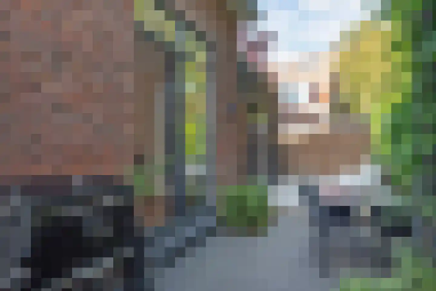 Schaepmanlaan 34 Bloemendaal thumbnail 25
