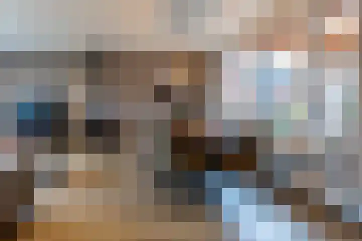 Schaepmanlaan 37 Ossendrecht thumbnail 13