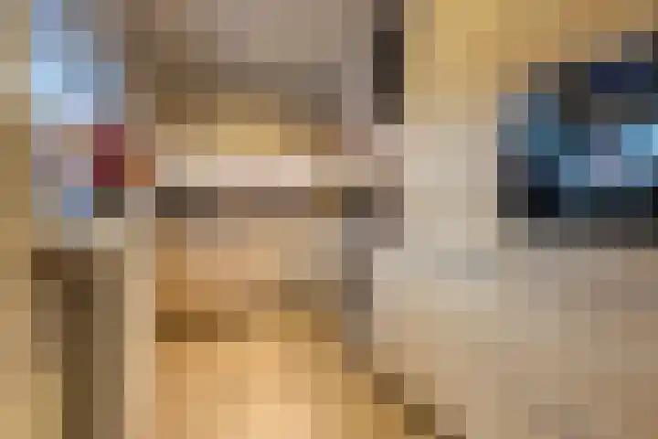 Schaepmanlaan 37 Ossendrecht thumbnail 14