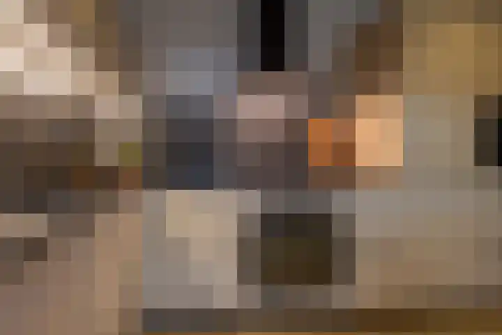 Schaepmanlaan 37 Ossendrecht thumbnail 15