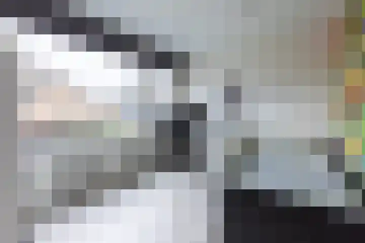 Schaepmanlaan 37 Ossendrecht thumbnail 20
