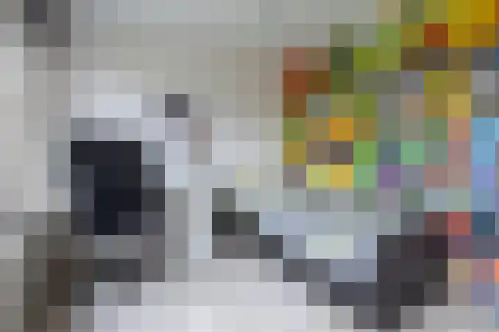 Schaepmanlaan 37 Ossendrecht thumbnail 22