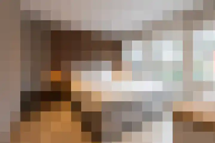 Schaepmanlaan 37 Ossendrecht thumbnail 23