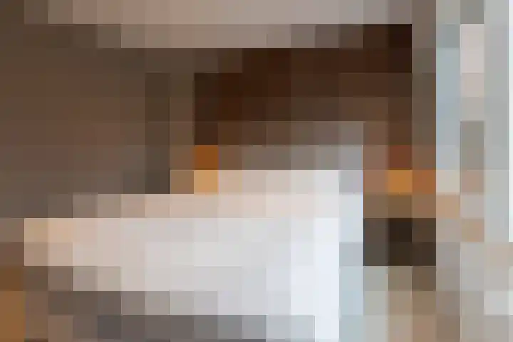 Schaepmanlaan 37 Ossendrecht thumbnail 24