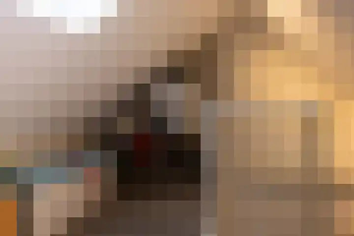 Schaepmanlaan 37 Ossendrecht thumbnail 28