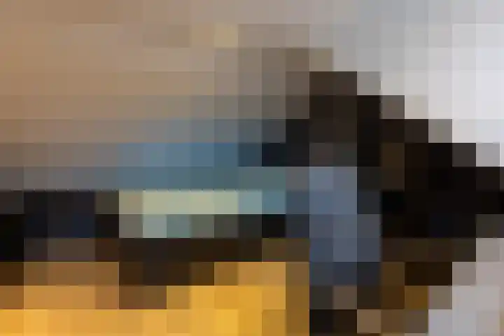 Schaepmanlaan 37 Ossendrecht thumbnail 30
