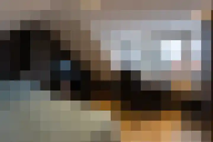 Schaepmanlaan 37 Ossendrecht thumbnail 31