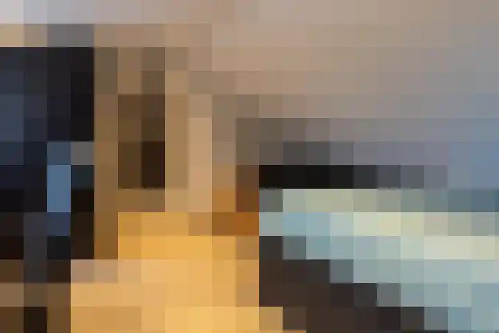 Schaepmanlaan 37 Ossendrecht thumbnail 32