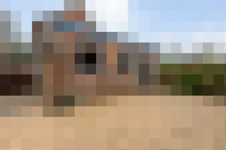 Schaepmanlaan 37 Ossendrecht thumbnail 38