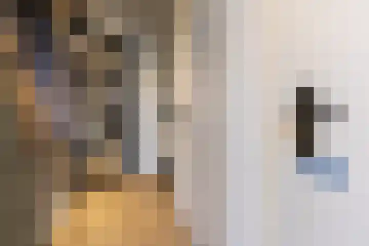 Schaepmanlaan 37 Ossendrecht thumbnail 4
