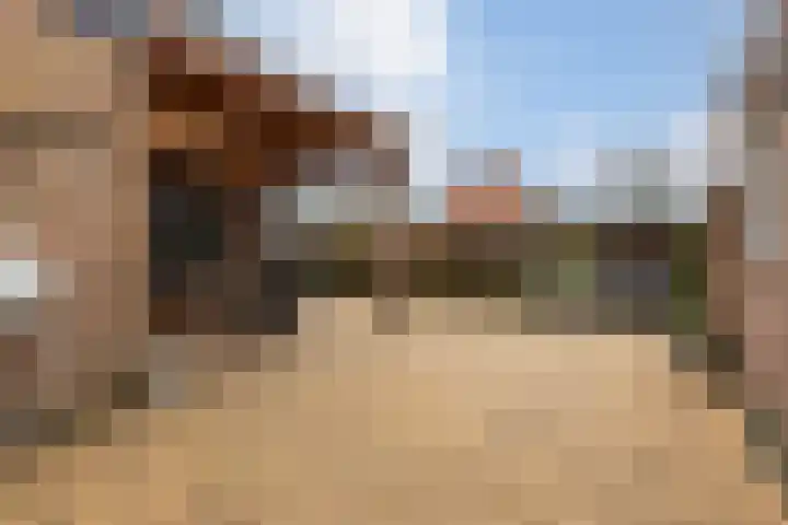 Schaepmanlaan 37 Ossendrecht thumbnail 40