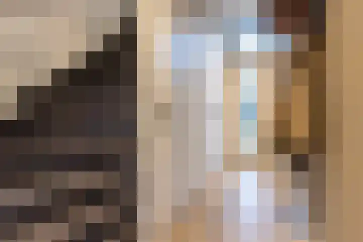 Schaepmanlaan 37 Ossendrecht thumbnail 5