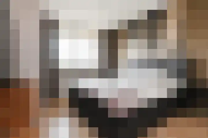 Schaepmanlaan 37 Pijnacker thumbnail 11