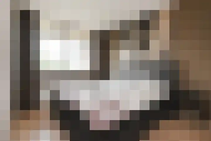 Schaepmanlaan 37 Pijnacker thumbnail 12