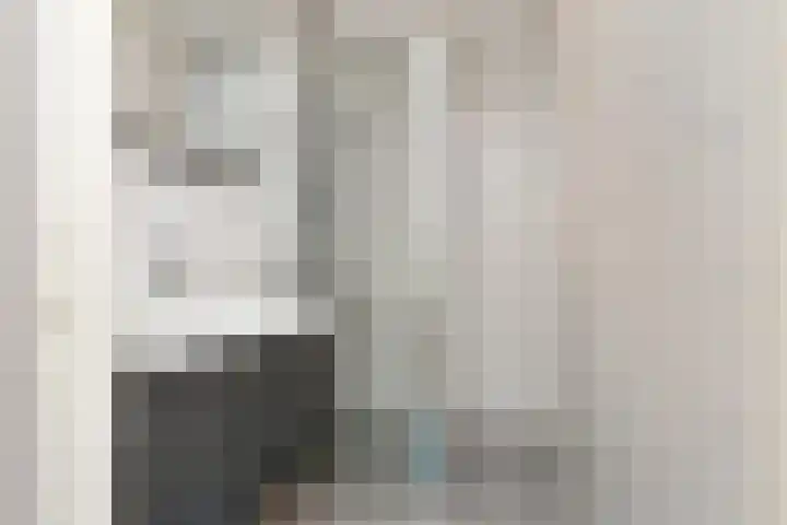 Schaepmanlaan 37 Pijnacker thumbnail 13
