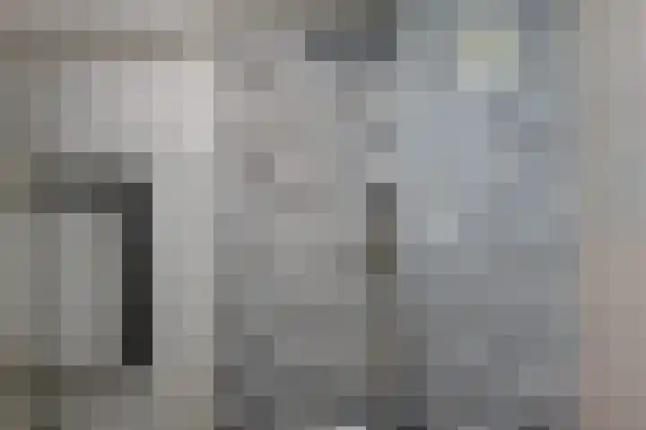Schaepmanlaan 37 Pijnacker thumbnail 14