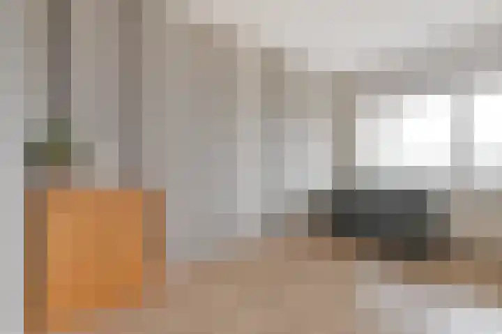 Schaepmanlaan 37 Pijnacker thumbnail 15